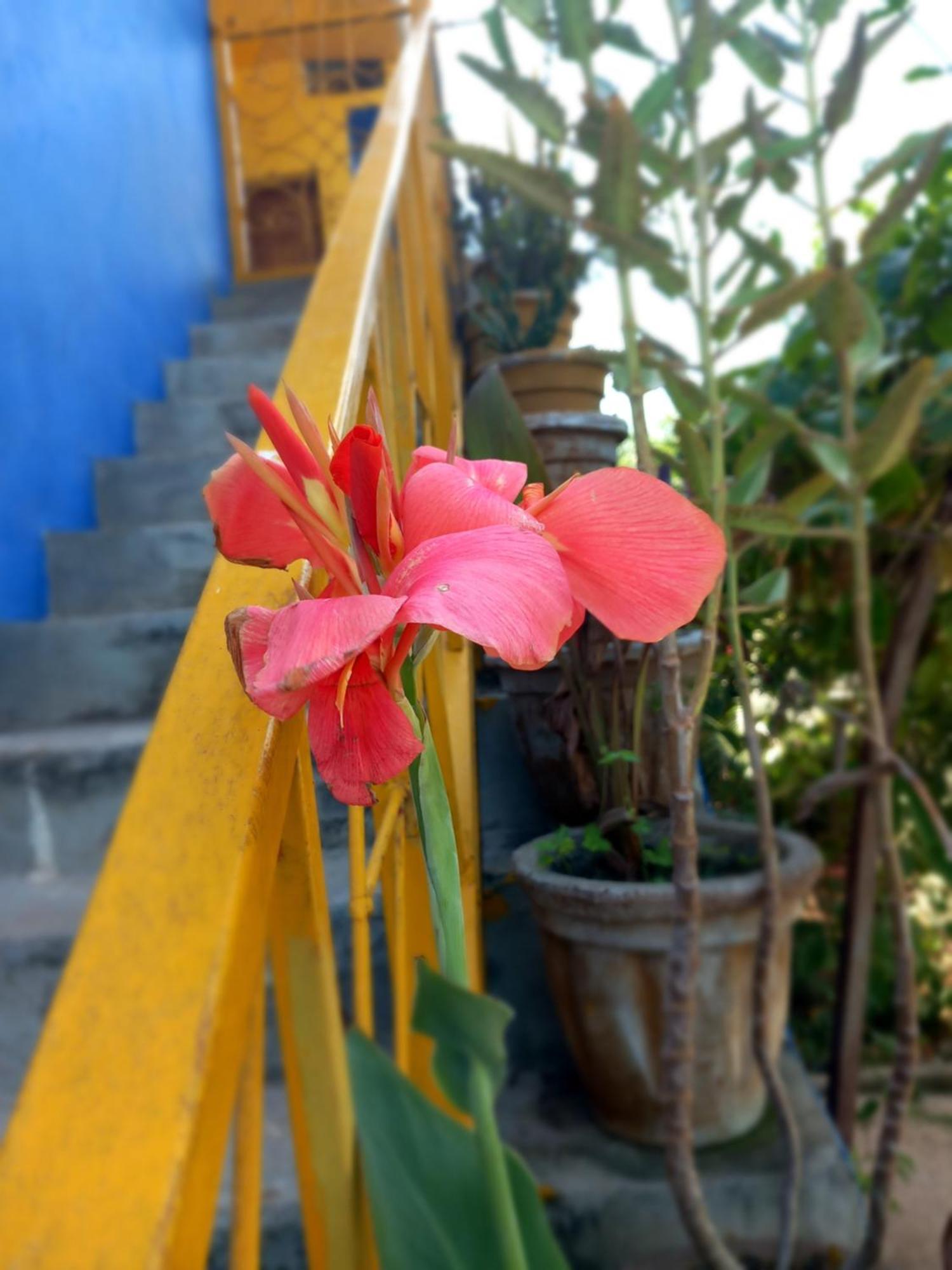 La Locanda Lodge - Apartment, 4 Double Rooms & Kitchen Near The Beach 잠비아니 외부 사진