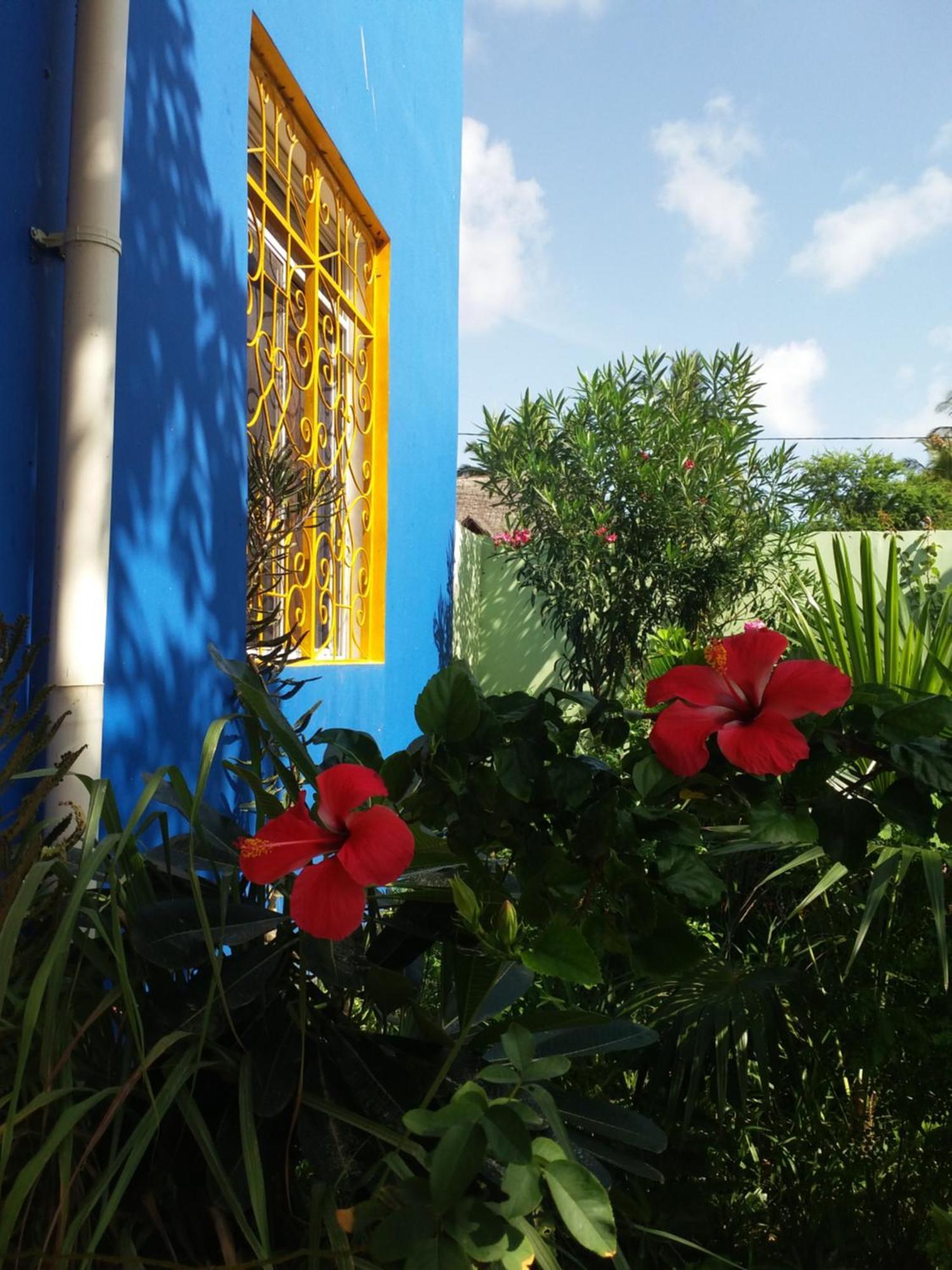 La Locanda Lodge - Apartment, 4 Double Rooms & Kitchen Near The Beach 잠비아니 외부 사진