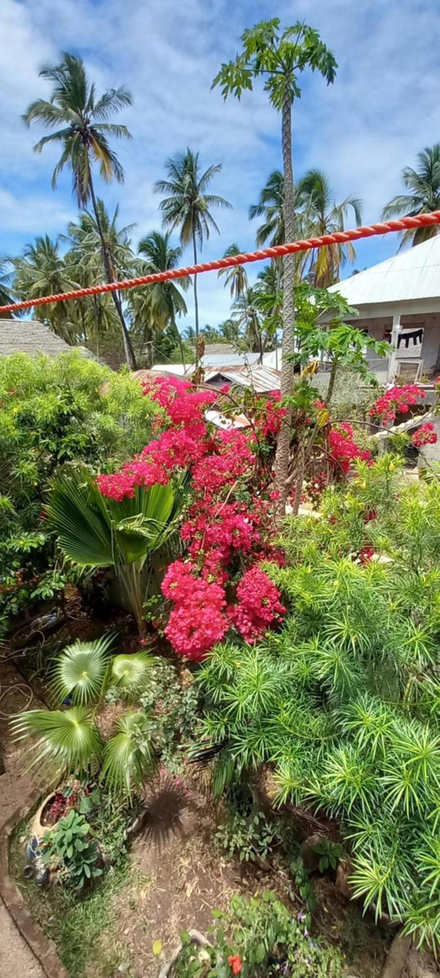 La Locanda Lodge - Apartment, 4 Double Rooms & Kitchen Near The Beach 잠비아니 외부 사진